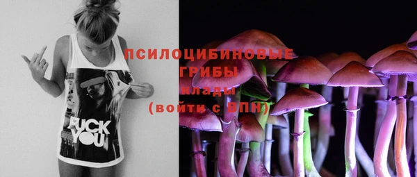марки nbome Белокуриха