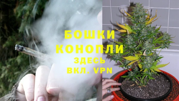 марки nbome Белокуриха